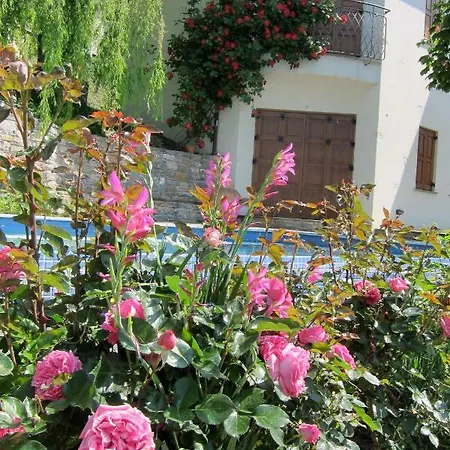 Sommer Villa *